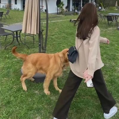 黑色警戒线