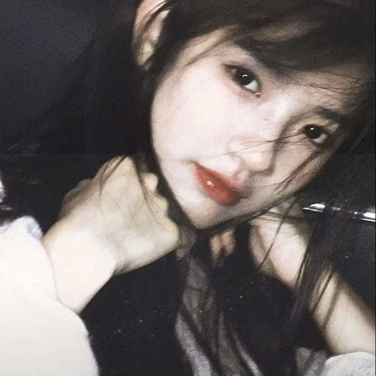 科搜研之女第24季